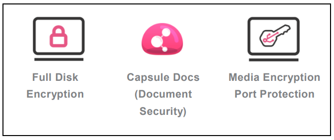 Endpoint Data Security Solution