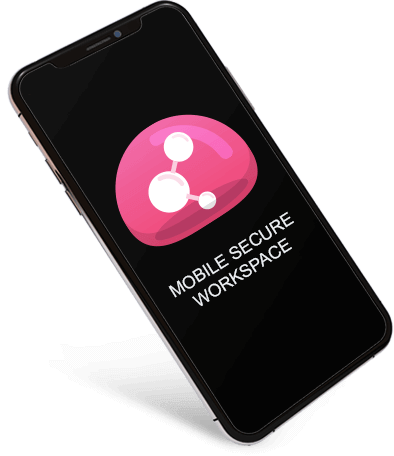 Mobile Secure Workspace
