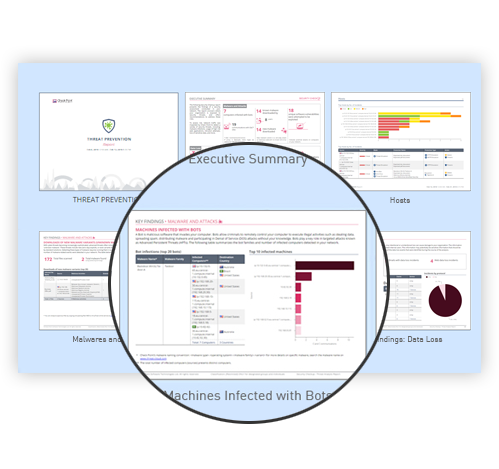 Customizable Views and Reports for Any Audience